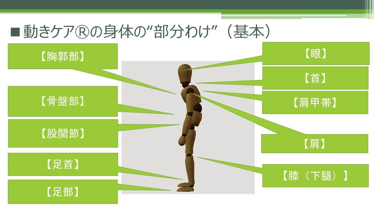 動きケアⓇの「部分分け」