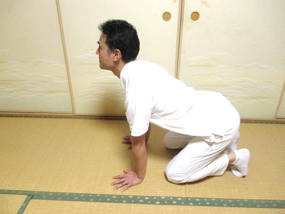 導ヨガⓇ（動きケアⓇ体操）での（四つばい位）骨盤：前傾・後傾のやり方