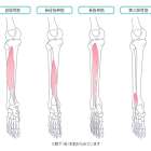 足首・動きケアⓇ～捻挫グセを治す考え方のヒミツ～